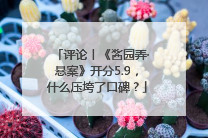 评论丨《酱园弄·悬案》开分5.9，什么压垮了口碑？