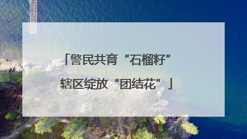 警民共育“石榴籽” 辖区绽放“团结花”