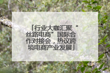 行业大咖汇聚“丝路电商”国际合作对接会，热议跨境电商产业发展