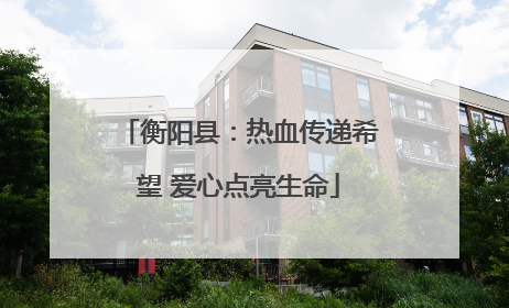 衡阳县：热血传递希望 爱心点亮生命