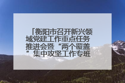 衡阳市召开新兴领域党建工作重点任务推进会暨“两个覆盖”集中攻坚工作专班 第一次会议