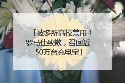 被多所高校禁用！罗马仕致歉，召回近50万台充电宝
