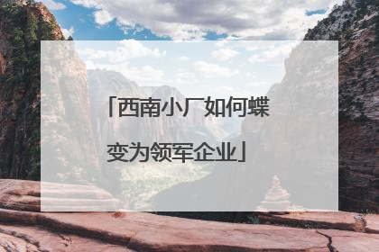 西南小厂如何蝶变为领军企业