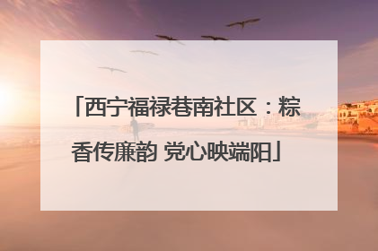 西宁福禄巷南社区：粽香传廉韵 党心映端阳