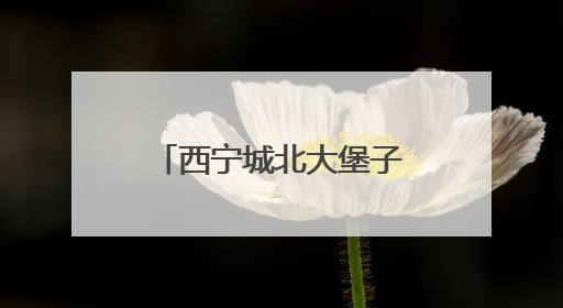 西宁城北大堡子镇团委举办迎“七一”文艺演出