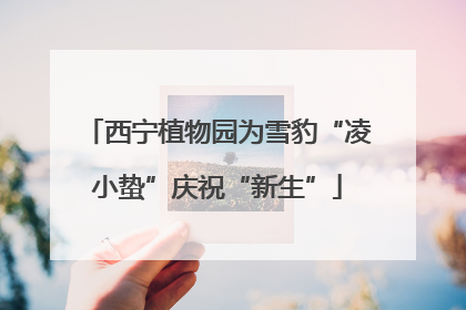 西宁植物园为雪豹“凌小蛰”庆祝“新生”