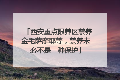 西安重点限养区禁养金毛萨摩耶等，禁养未必不是一种保护