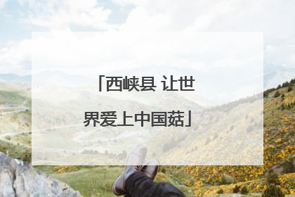 西峡县 让世界爱上中国菇
