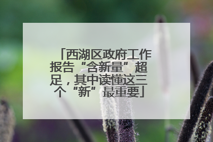 西湖区政府工作报告“含新量”超足，其中读懂这三个“新”最重要