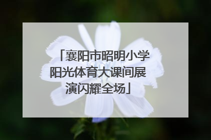 襄阳市昭明小学阳光体育大课间展演闪耀全场