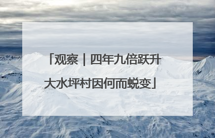 观察｜四年九倍跃升 大水坪村因何而蜕变