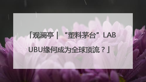 观澜亭｜“塑料茅台”LABUBU缘何成为全球顶流？