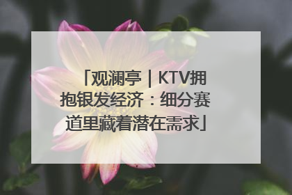 观澜亭｜KTV拥抱银发经济：细分赛道里藏着潜在需求
