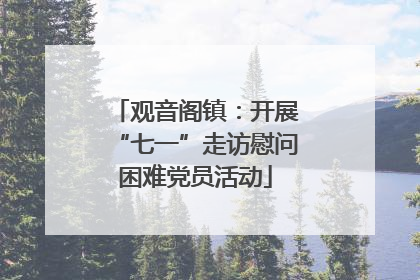 观音阁镇：开展“七一”走访慰问困难党员活动