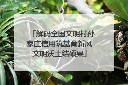 解码全国文明村孙家庄信用筑基育新风文明沃土结硕果