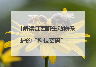 解读江西野生动物保护的“科技密码”