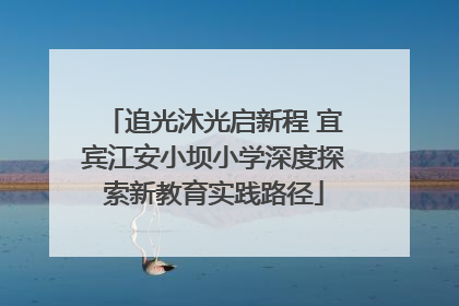 追光沐光启新程 宜宾江安小坝小学深度探索新教育实践路径