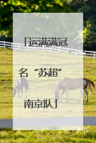 运满满冠名“苏超”南京队