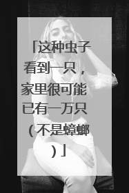 这种虫子看到一只，家里很可能已有一万只（不是蟑螂）