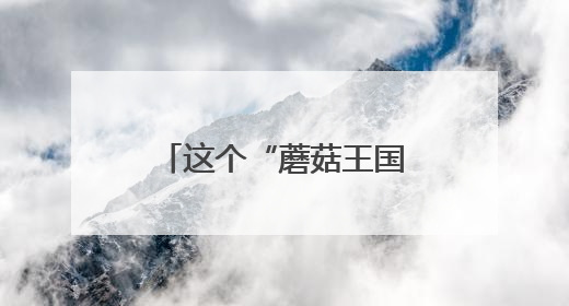 这个“蘑菇王国”已发现1000多种大“菌子”