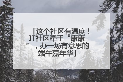这个社区有温度！IT社区牵手“康康”，办一场有意思的端午嘉年华