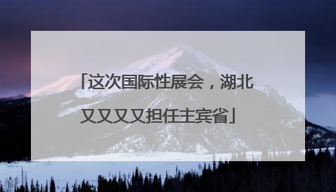 这次国际性展会，湖北又又又又担任主宾省