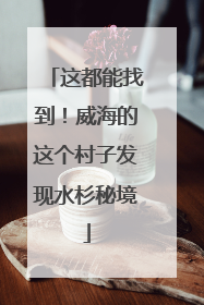 这都能找到！威海的这个村子发现水杉秘境