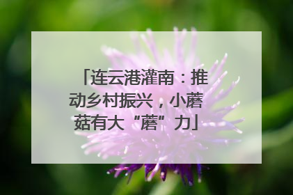 连云港灌南：推动乡村振兴，小蘑菇有大“蘑”力