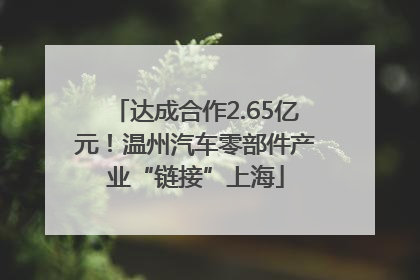 达成合作2.65亿元！温州汽车零部件产业“链接”上海