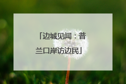 边城见闻：普兰口岸访边民