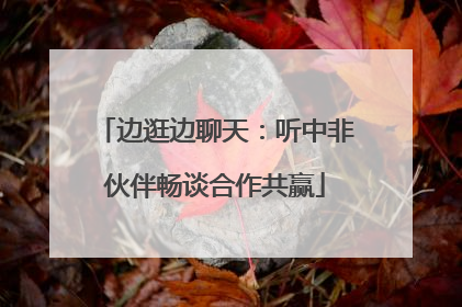 边逛边聊天：听中非伙伴畅谈合作共赢
