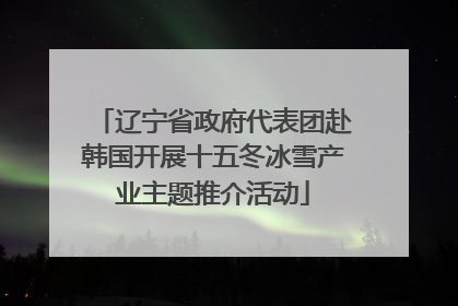 辽宁省政府代表团赴韩国开展十五冬冰雪产业主题推介活动