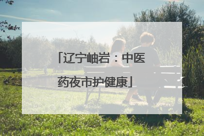 辽宁岫岩：中医药夜市护健康