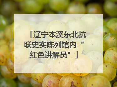 辽宁本溪东北抗联史实陈列馆内“红色讲解员”