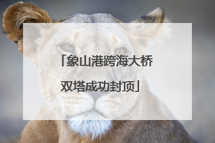 象山港跨海大桥双塔成功封顶