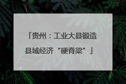 贵州：工业大县锻造县域经济“硬脊梁”