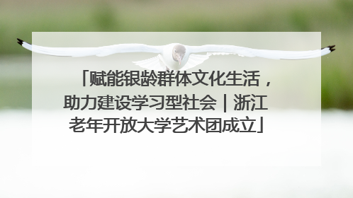 赋能银龄群体文化生活，助力建设学习型社会｜浙江老年开放大学艺术团成立