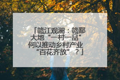 赣江观澜：赣鄱大地“一村一品”何以推动乡村产业“百花齐放”？