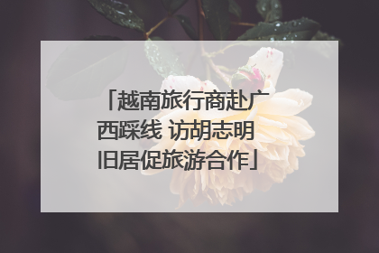 越南旅行商赴广西踩线 访胡志明旧居促旅游合作
