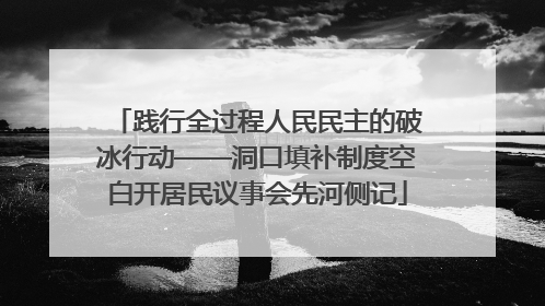 践行全过程人民民主的破冰行动——洞口填补制度空白开居民议事会先河侧记