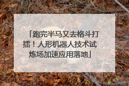 跑完半马又去格斗打擂！人形机器人技术试炼场加速应用落地