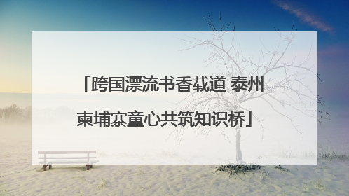 跨国漂流书香载道 泰州柬埔寨童心共筑知识桥