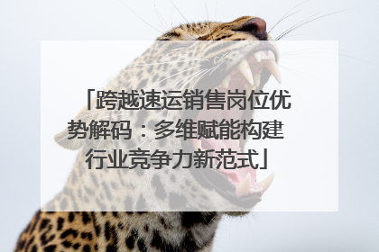跨越速运销售岗位优势解码：多维赋能构建行业竞争力新范式
