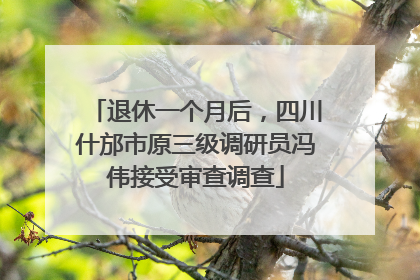 退休一个月后，四川什邡市原三级调研员冯伟接受审查调查