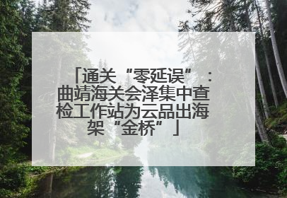 通关“零延误”：曲靖海关会泽集中查检工作站为云品出海架“金桥”