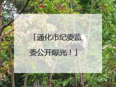 通化市纪委监委公开曝光！