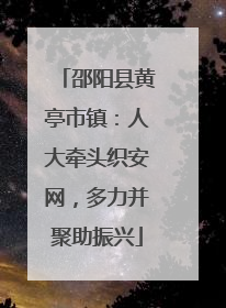 邵阳县黄亭市镇：人大牵头织安网，多力并聚助振兴