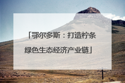 鄂尔多斯：打造柠条绿色生态经济产业链