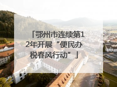 鄂州市连续第12年开展“便民办税春风行动”