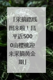 采摘路线图来啦！昌平近5000亩樱桃迎来采摘黄金期
